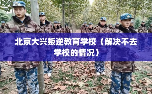 北京大兴叛逆教育学校（解决不去学校的情况）