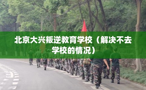 北京大兴叛逆教育学校（解决不去学校的情况）