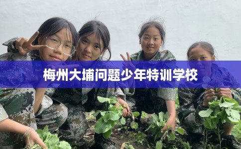 梅州大埔问题少年特训学校