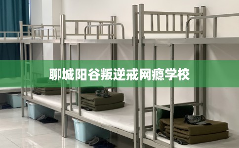 聊城阳谷叛逆戒网瘾学校