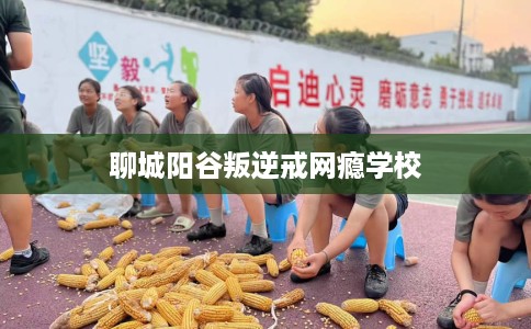 聊城阳谷叛逆戒网瘾学校