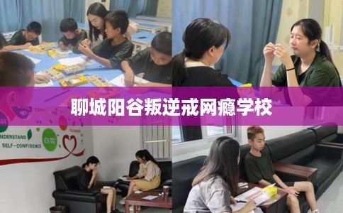 聊城阳谷叛逆戒网瘾学校