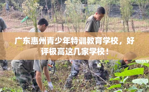 广东惠州青少年特训教育学校,好评极高这几家学校! 广东惠州青少年特训教育学校,好评极高这几家学校!
