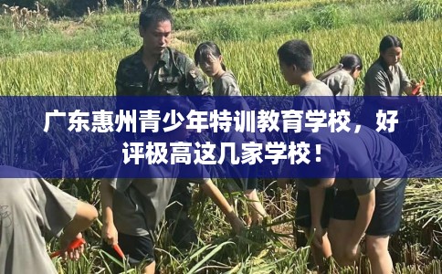 广东惠州青少年特训教育学校,好评极高这几家学校! 广东惠州青少年特训教育学校,好评极高这几家学校!