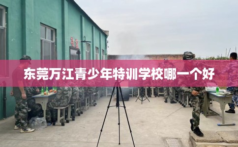 东莞万江青少年特训学校哪一个好