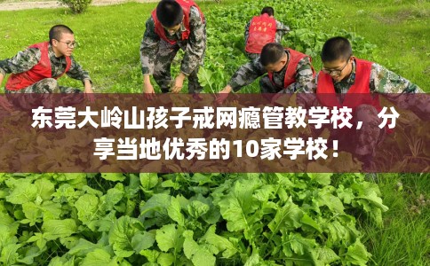 东莞大岭山孩子戒网瘾管教学校，分享当地优秀的10家学校！