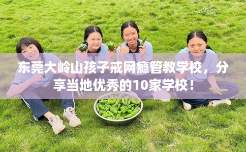 东莞大岭山孩子戒网瘾管教学校，分享当地优秀的10家学校！