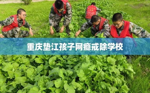 重庆垫江孩子网瘾戒除学校