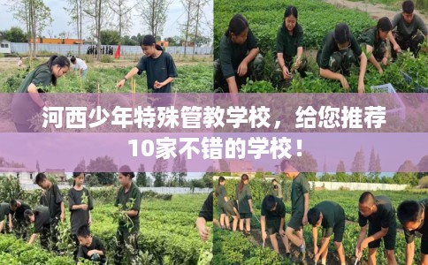河西少年特殊管教学校，给您推荐10家不错的学校！