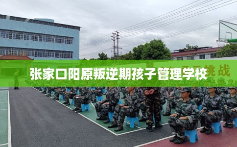 张家口阳原叛逆期孩子管理学校