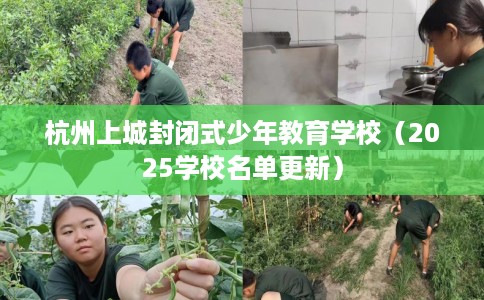 杭州上城封闭式少年教育学校（2025学校名单更新）