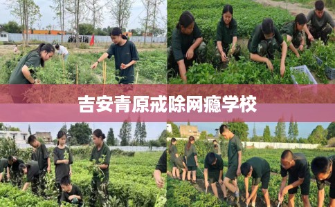 吉安青原戒除网瘾学校