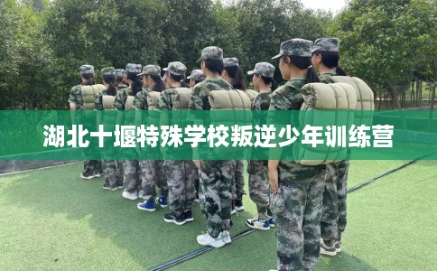 湖北十堰特殊学校叛逆少年训练营