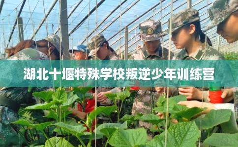 湖北十堰特殊学校叛逆少年训练营