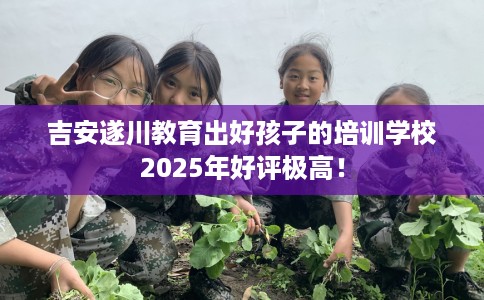 吉安遂川教育出好孩子的培训学校2025年好评极高！