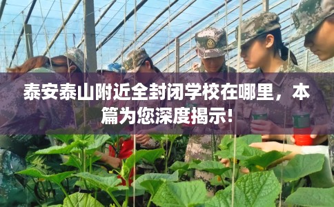 泰安泰山附近全封闭学校在哪里，本篇为您深度揭示!