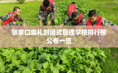 张家口崇礼封闭式管理学校排行榜公布一览