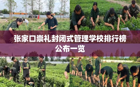 张家口崇礼封闭式管理学校排行榜公布一览