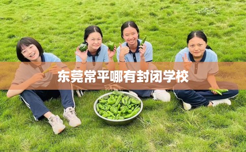 东莞常平哪有封闭学校