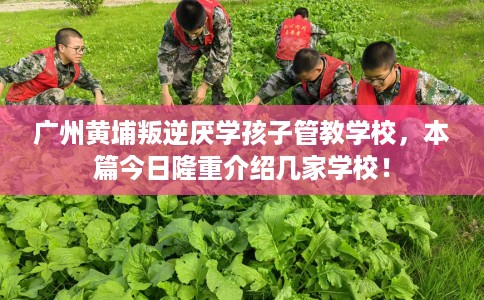 广州黄埔叛逆厌学孩子管教学校，本篇今日隆重介绍几家学校！