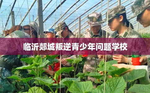 临沂郯城叛逆青少年问题学校