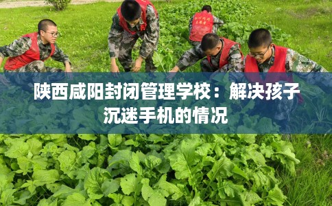 陕西咸阳封闭管理学校：解决孩子沉迷手机的情况