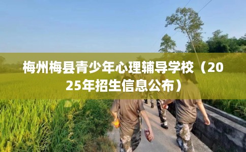 梅州梅县青少年心理辅导学校（2025年招生信息公布）
