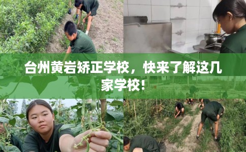 台州黄岩矫正学校,快来了解这几家学校! 台州黄岩矫正学校,快来了解这几家学校!