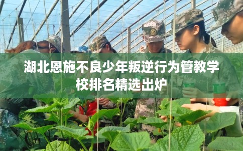 湖北恩施不良少年叛逆行为管教学校排名精选出炉