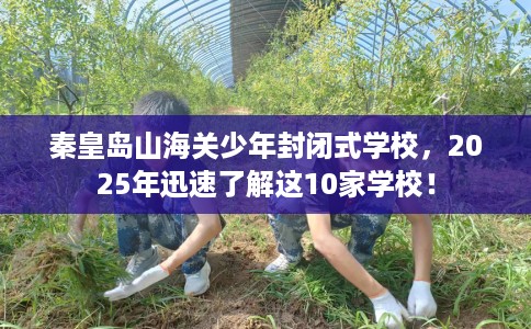 秦皇岛山海关少年封闭式学校,2025年迅速了解这10家学校! 秦皇岛山海关少年封闭式学校,2025年迅速了解这10家学校!