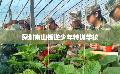 深圳南山叛逆少年特训学校