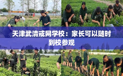 天津武清戒网学校：家长可以随时到校参观