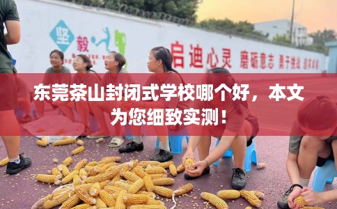 东莞茶山封闭式学校哪个好，本文为您细致实测！
