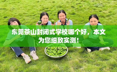 东莞茶山封闭式学校哪个好，本文为您细致实测！