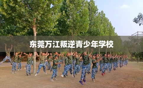 东莞万江叛逆青少年学校