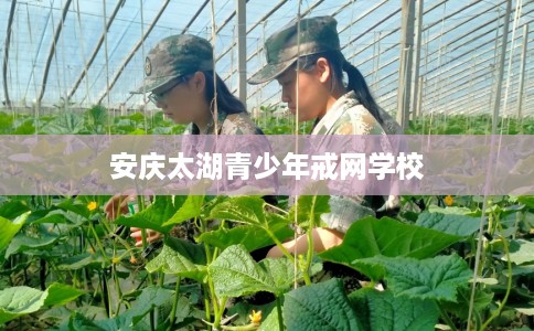 安庆太湖青少年戒网学校