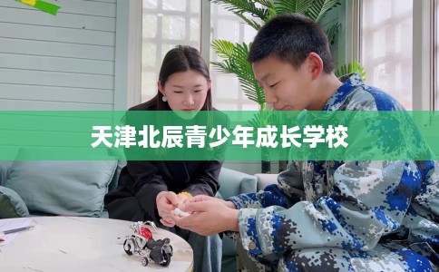 天津北辰青少年成长学校