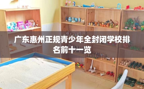 广东惠州正规青少年全封闭学校排名前十一览