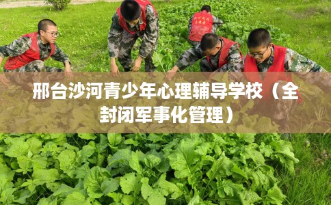 邢台沙河青少年心理辅导学校（全封闭军事化管理）