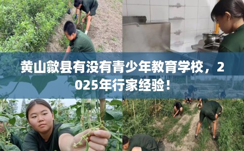 黄山歙县有没有青少年教育学校，2025年行家经验！