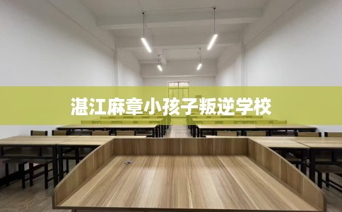 湛江麻章小孩子叛逆学校