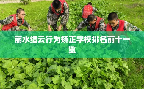 丽水缙云行为矫正学校排名前十一览