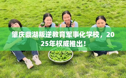 肇庆鼎湖叛逆教育军事化学校，2025年权威推出！