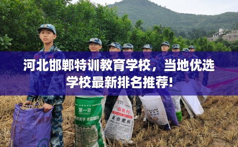 河北邯郸特训教育学校，当地优选学校最新排名推荐!