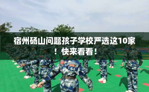宿州砀山问题孩子学校严选这10家！快来看看！