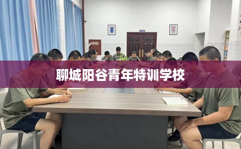 聊城阳谷青年特训学校