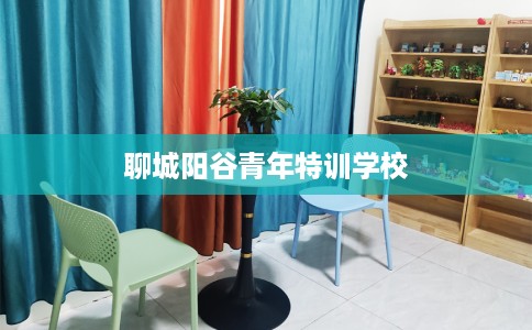 聊城阳谷青年特训学校