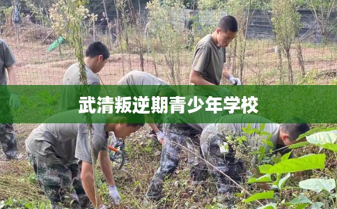 武清叛逆期青少年学校
