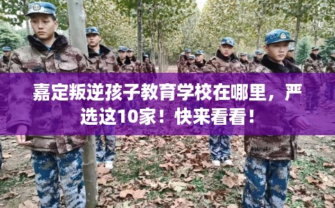 嘉定叛逆孩子教育学校在哪里，严选这10家！快来看看！