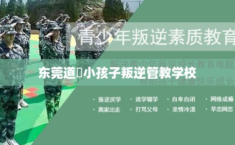 东莞道滘小孩子叛逆管教学校